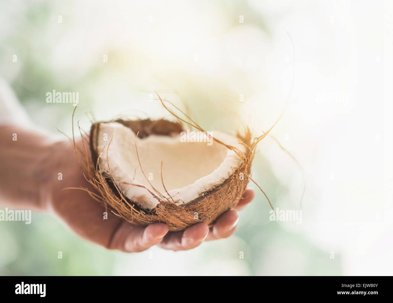 Close up of man's hand holding part of coconut Stock Photo