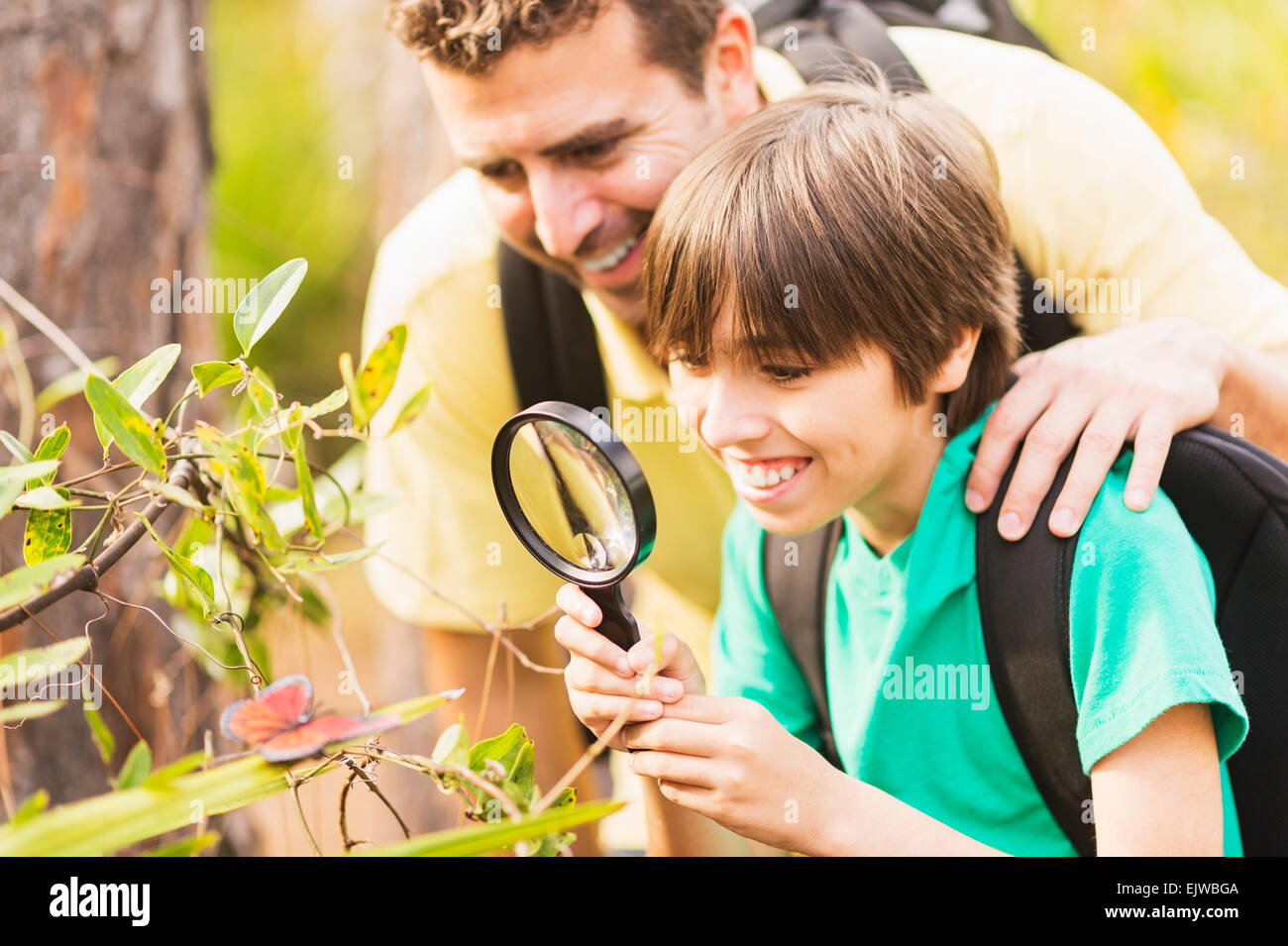 USA, Florida, Jupiter, Father and son (12-13) watching butterfly with magnifying glass Stock Photo