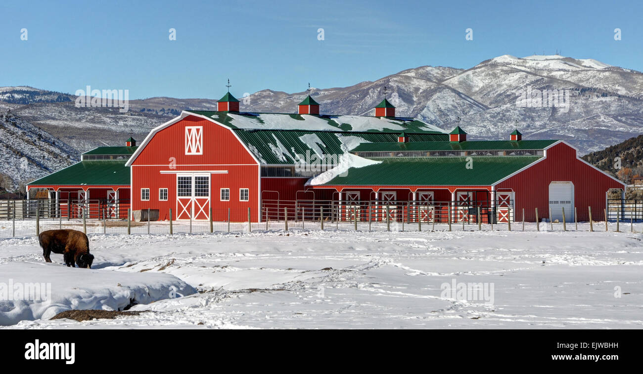 Snowy Red Mountain Barn With Buffalo - Utah Stock Photo