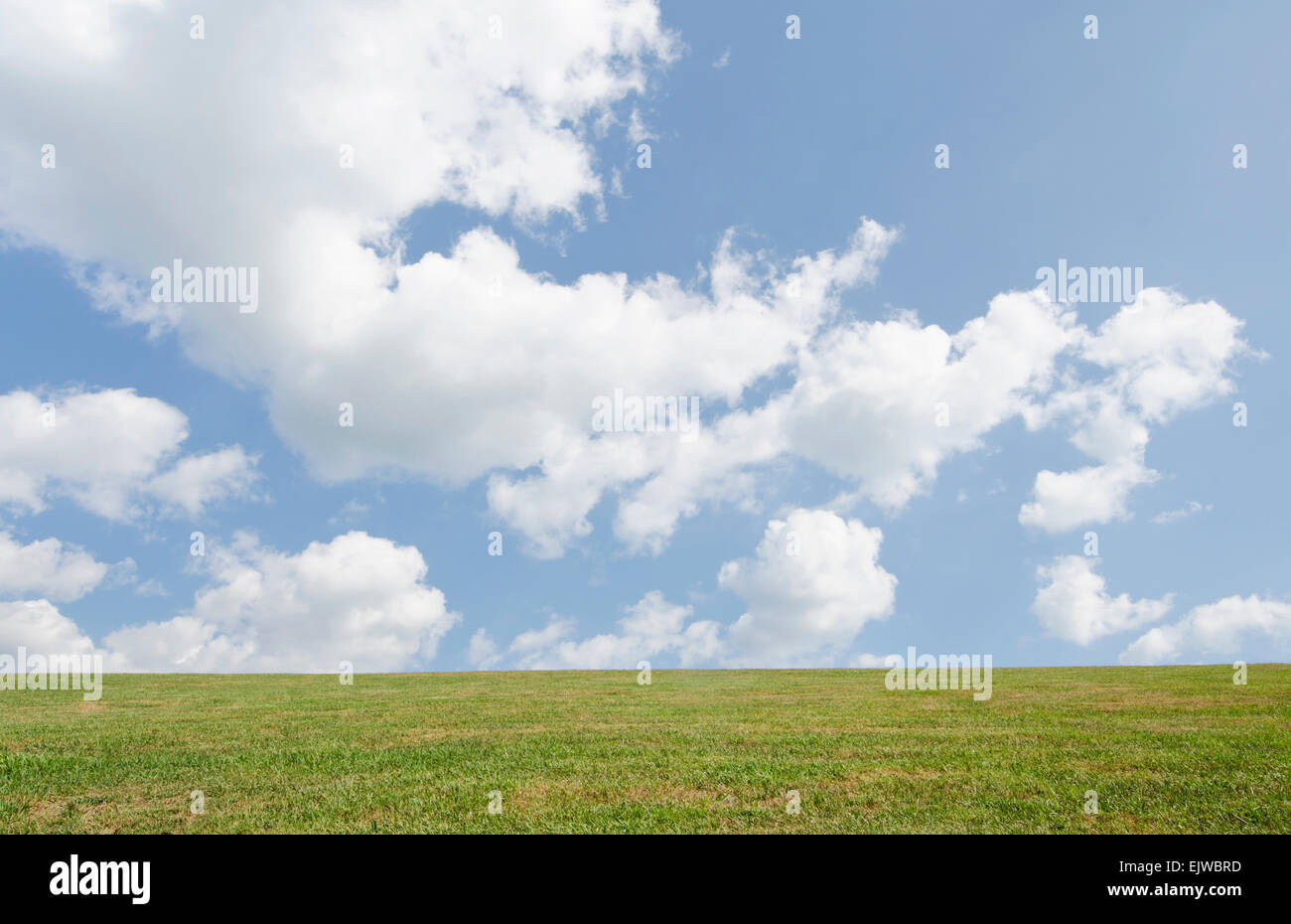 Field of grass and sky Stock Photo