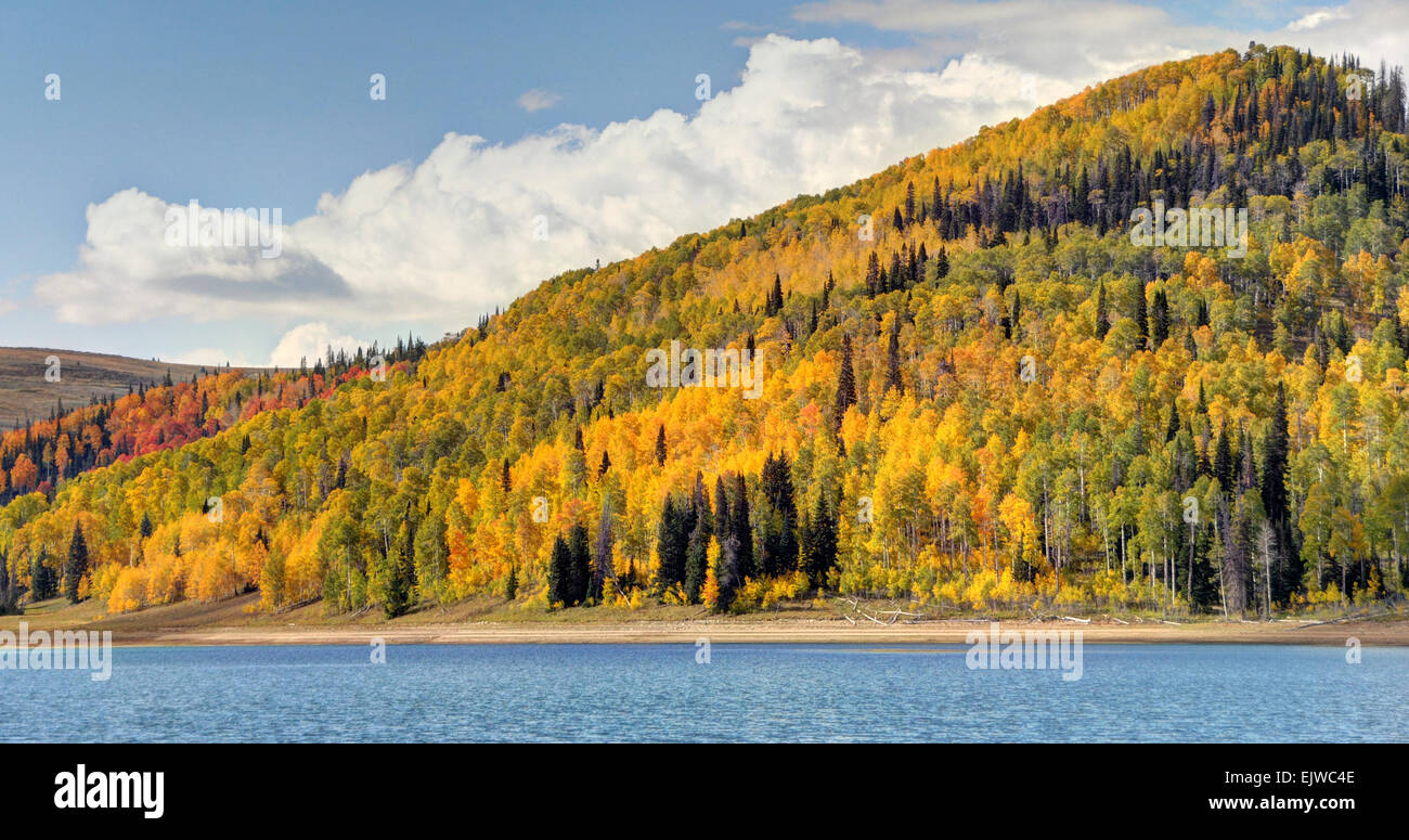 Autumn At Huntington Reservoir - Wasatch Plateau - Utah Stock Photo