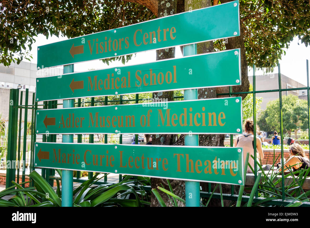 Johannesburg South Africa,African Parktown,Wits University,University of the Witwatersrand,Health Sciences Campus,Adler Museum of Medicine,medical sch Stock Photo