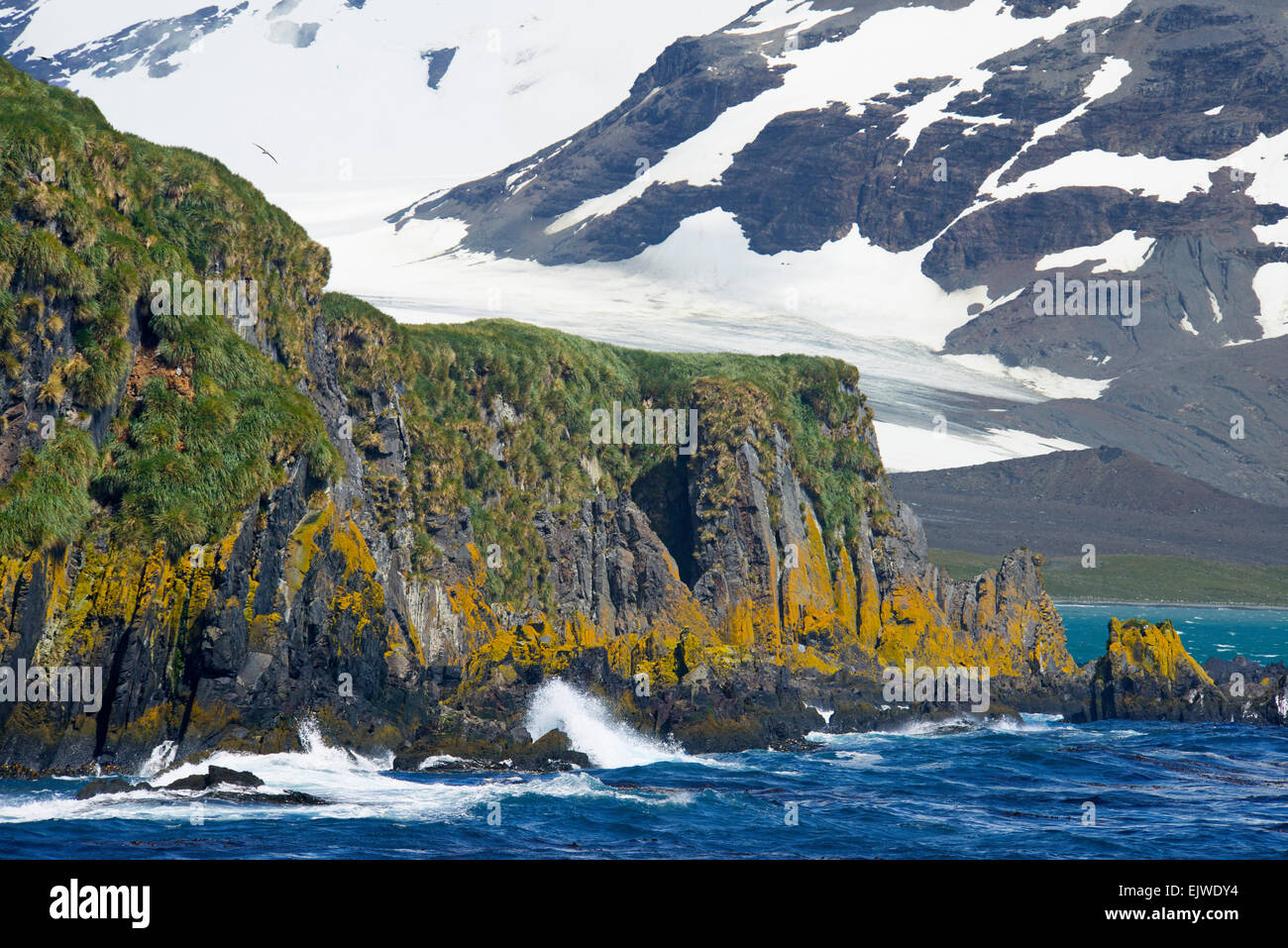 Rugged cliffs and snowcapped mountains northern coast South Georgia Stock Photo