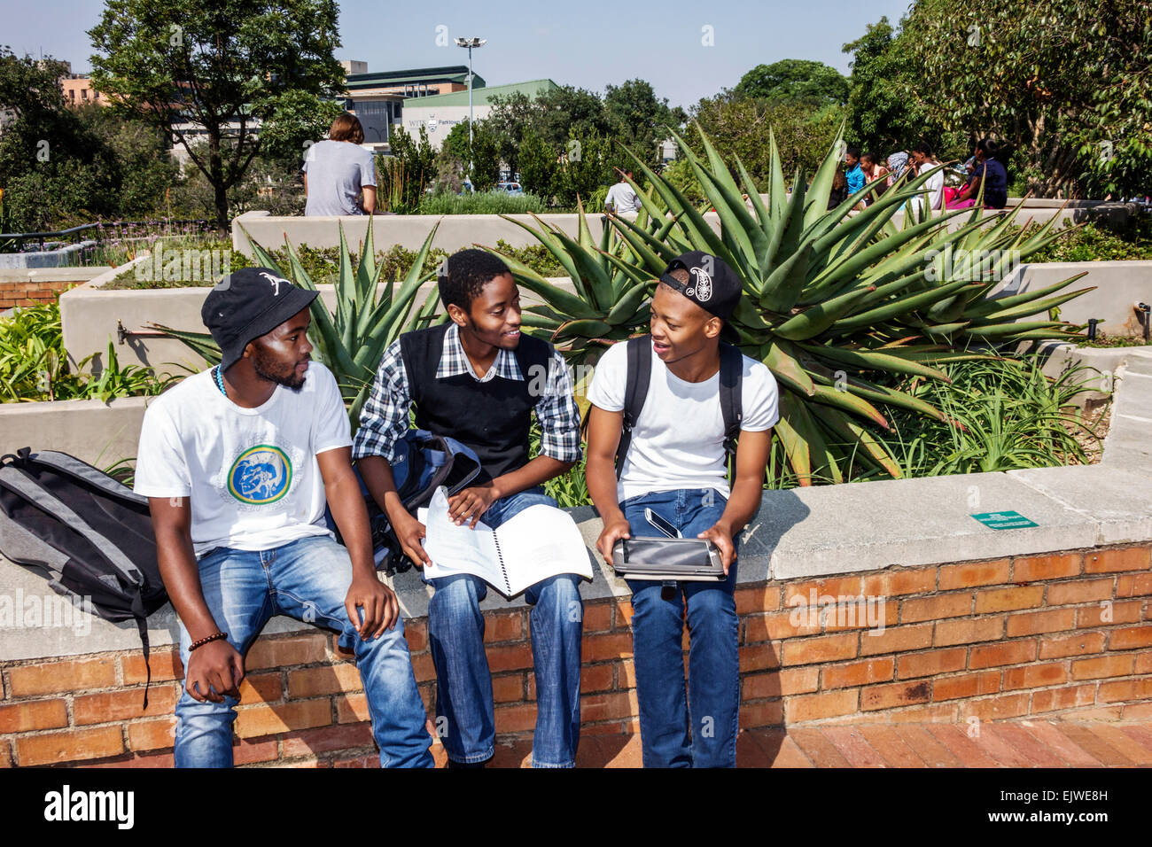 Johannesburg South Africa,Parktown,Wits University,University of the Witwatersrand,higher education,campus,courtyard,Black man men male,young adult,st Stock Photo