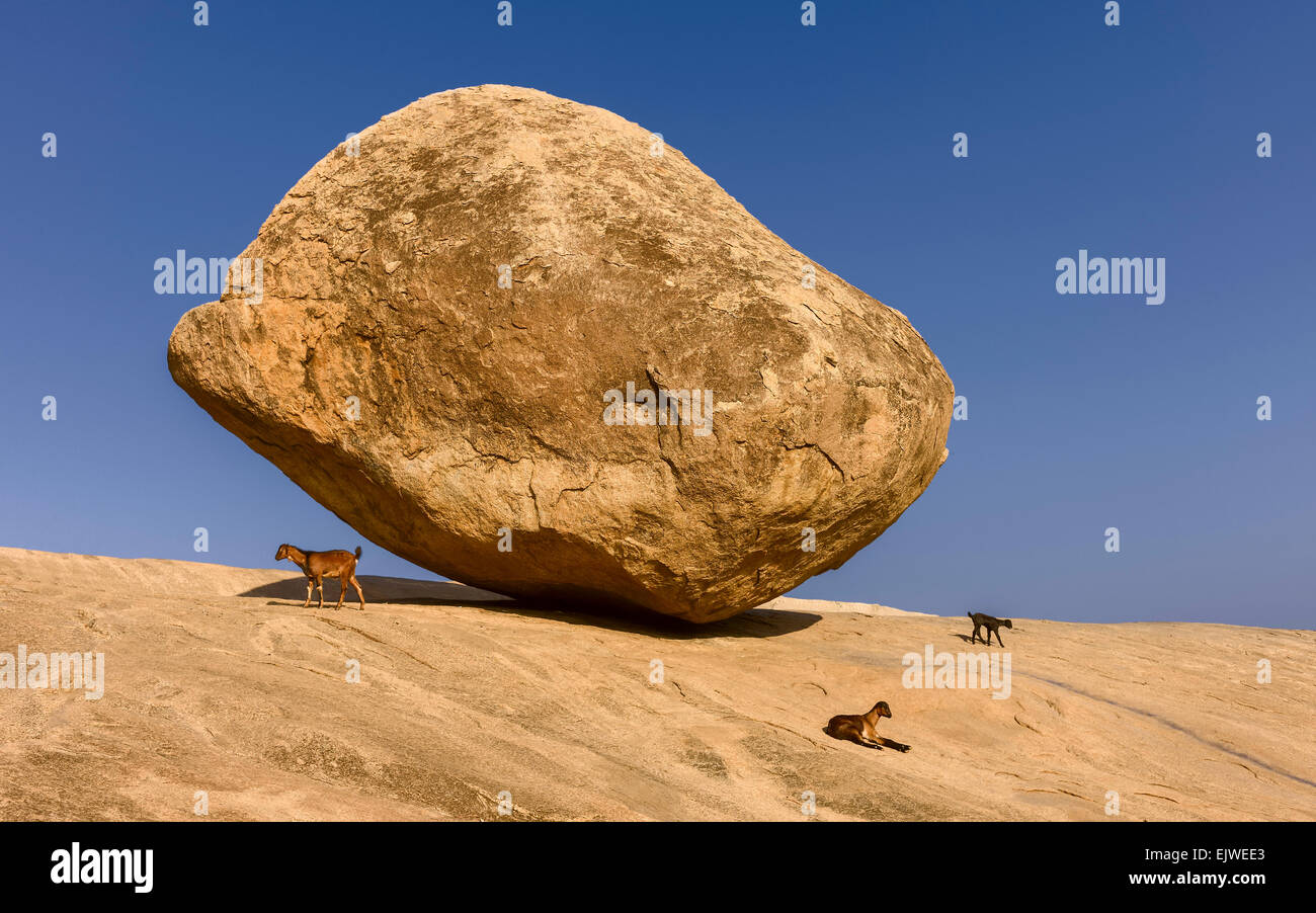 A large boulder, Krishna's butter ball, named after Hindu God, Krishna, balanced precariously on granite base in south India. Stock Photo