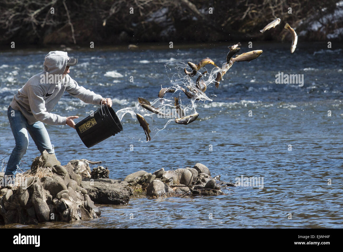Myers grove hires stock photography and images Alamy
