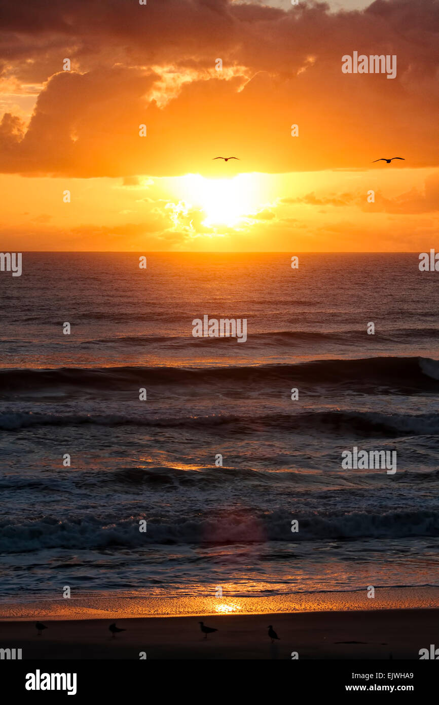 Sunrise - Indian Harbor Beach, Florida Stock Photo