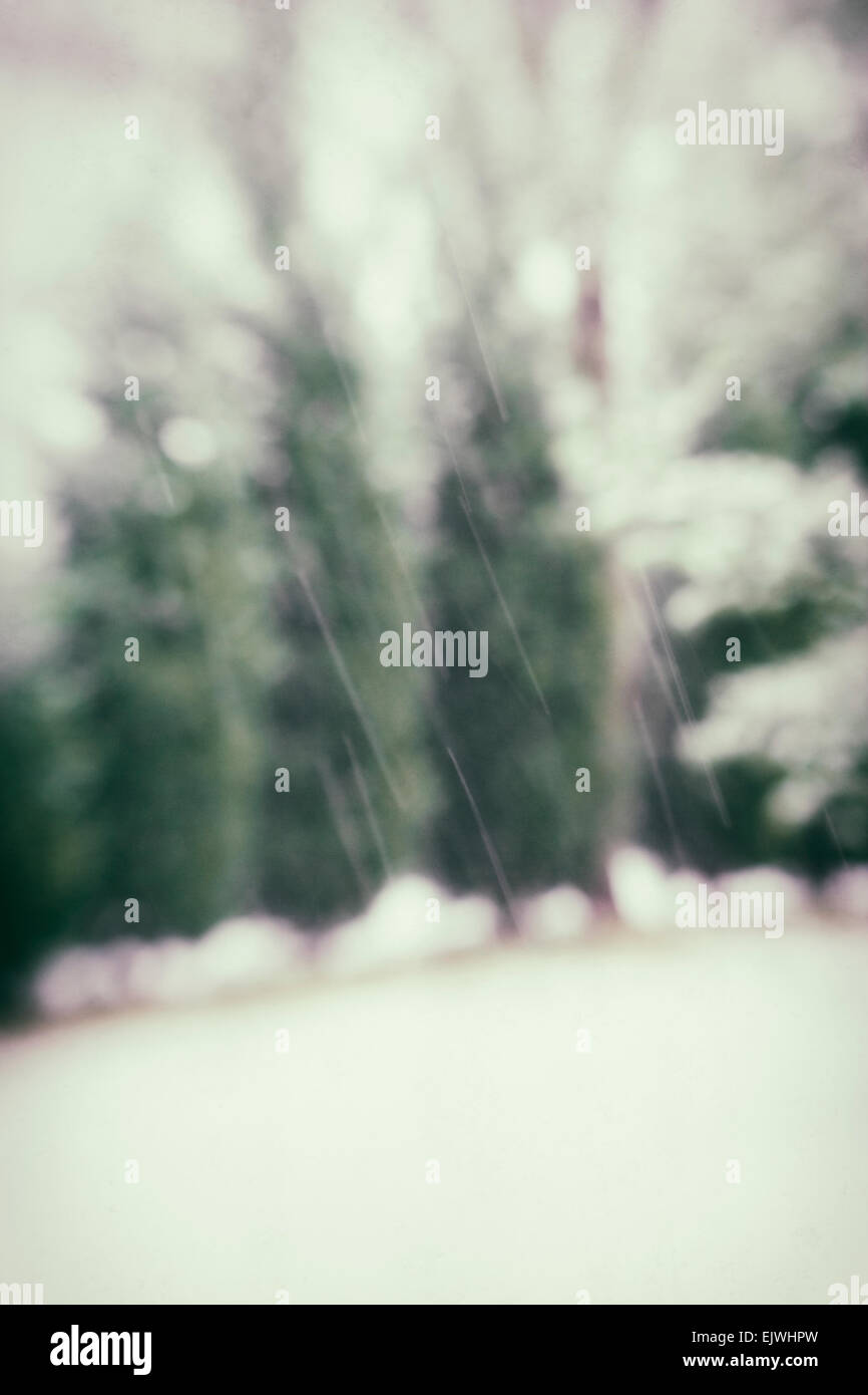 An artistic blurred photograph of falling snow with a green hedgerow in the background. Stock Photo