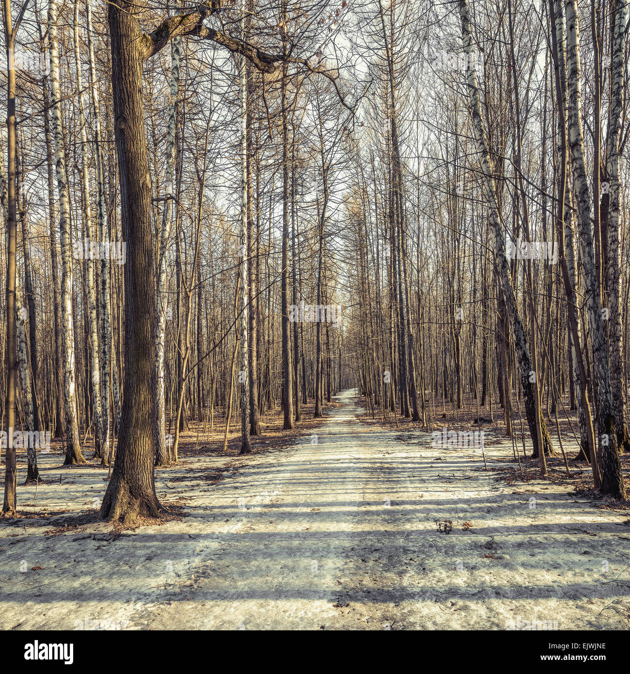 Long path to the hill in the old city park Stock Photo - Alamy
