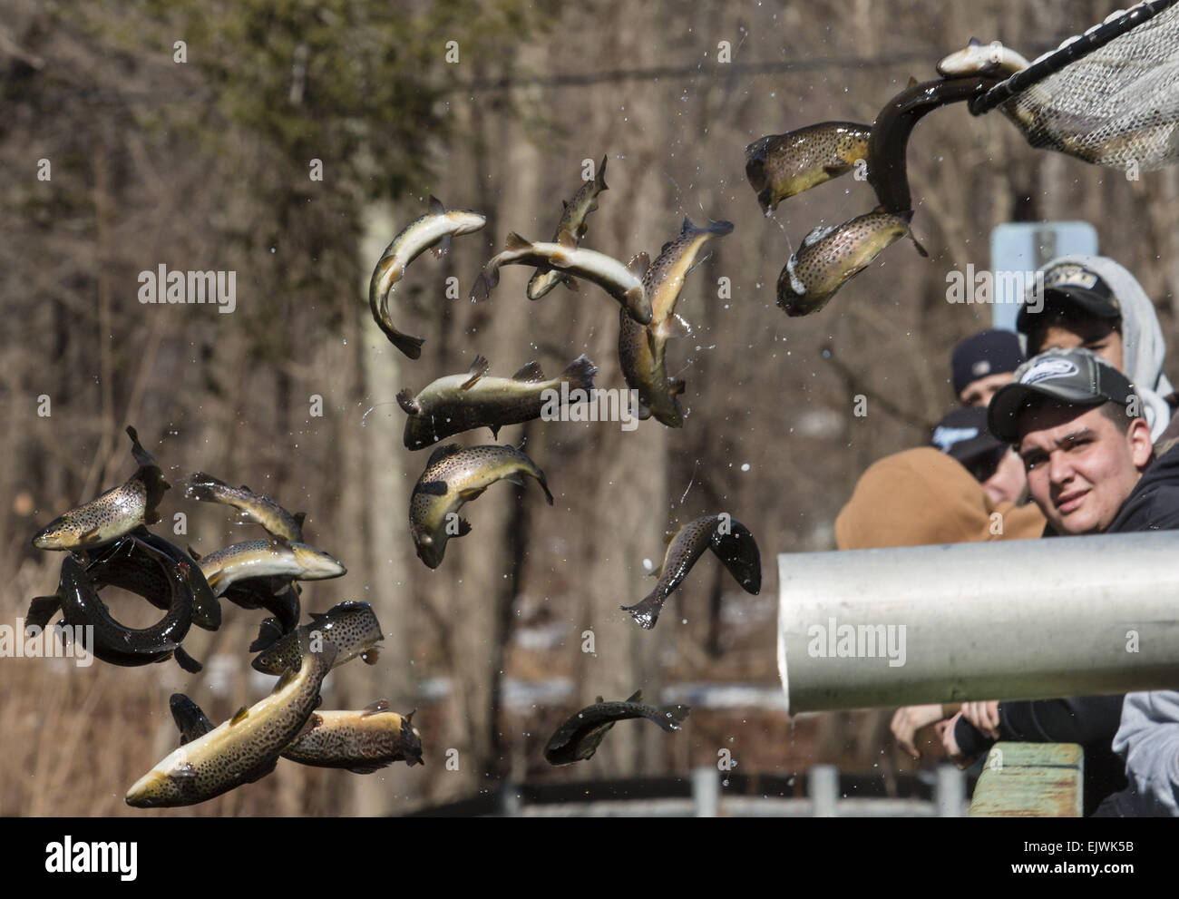 Myers Grove, New York, USA. 1st Apr, 2015. People watch from a bridge as a truck from the