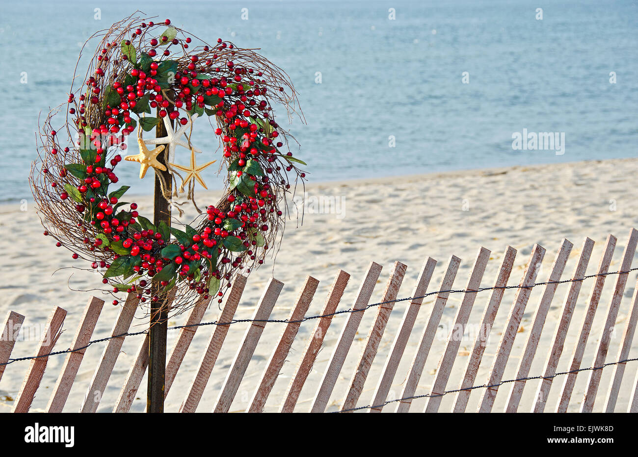 Christmas berry wreath on beach fence with starfish. Stock Photo