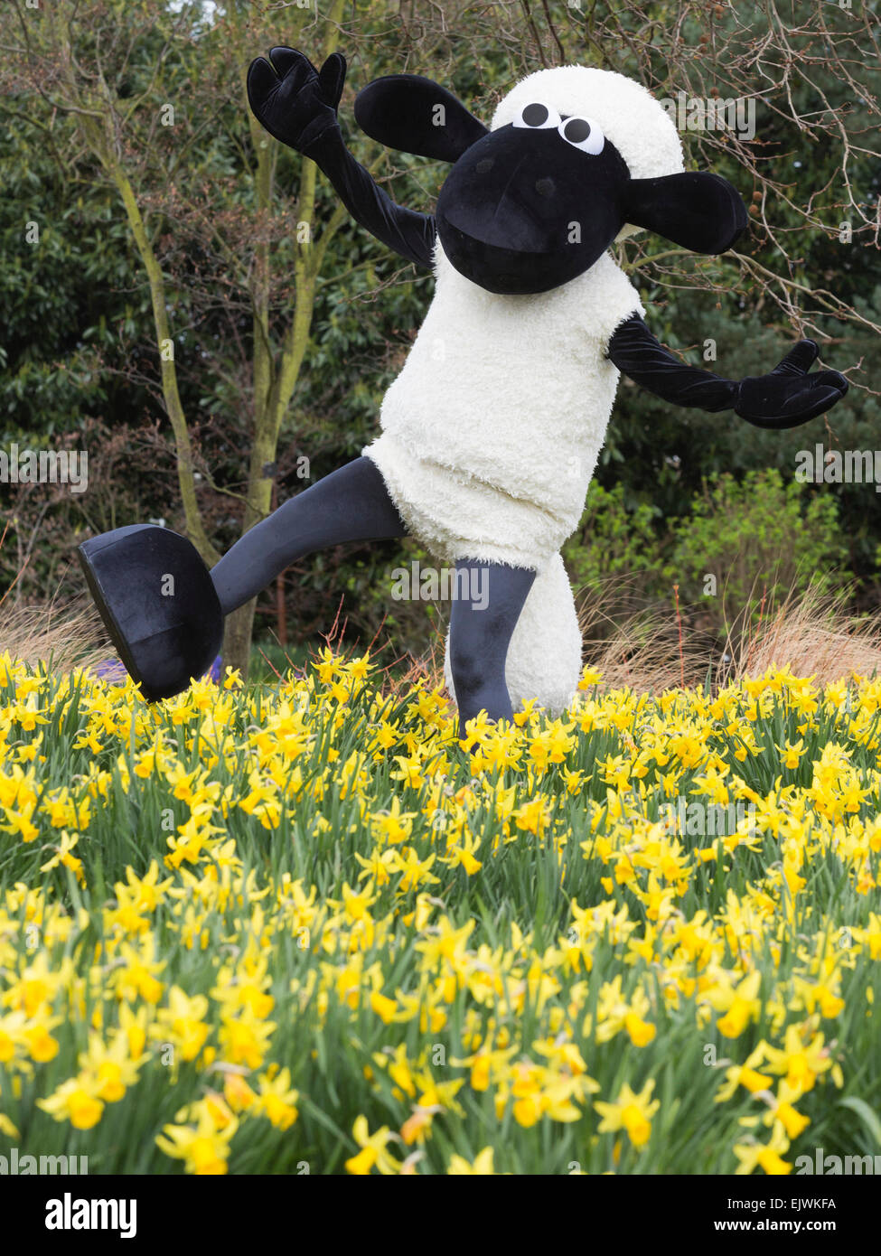 Shaun the Sheep with daffodils. Kew Gardens' Easter Festival "Shaun the