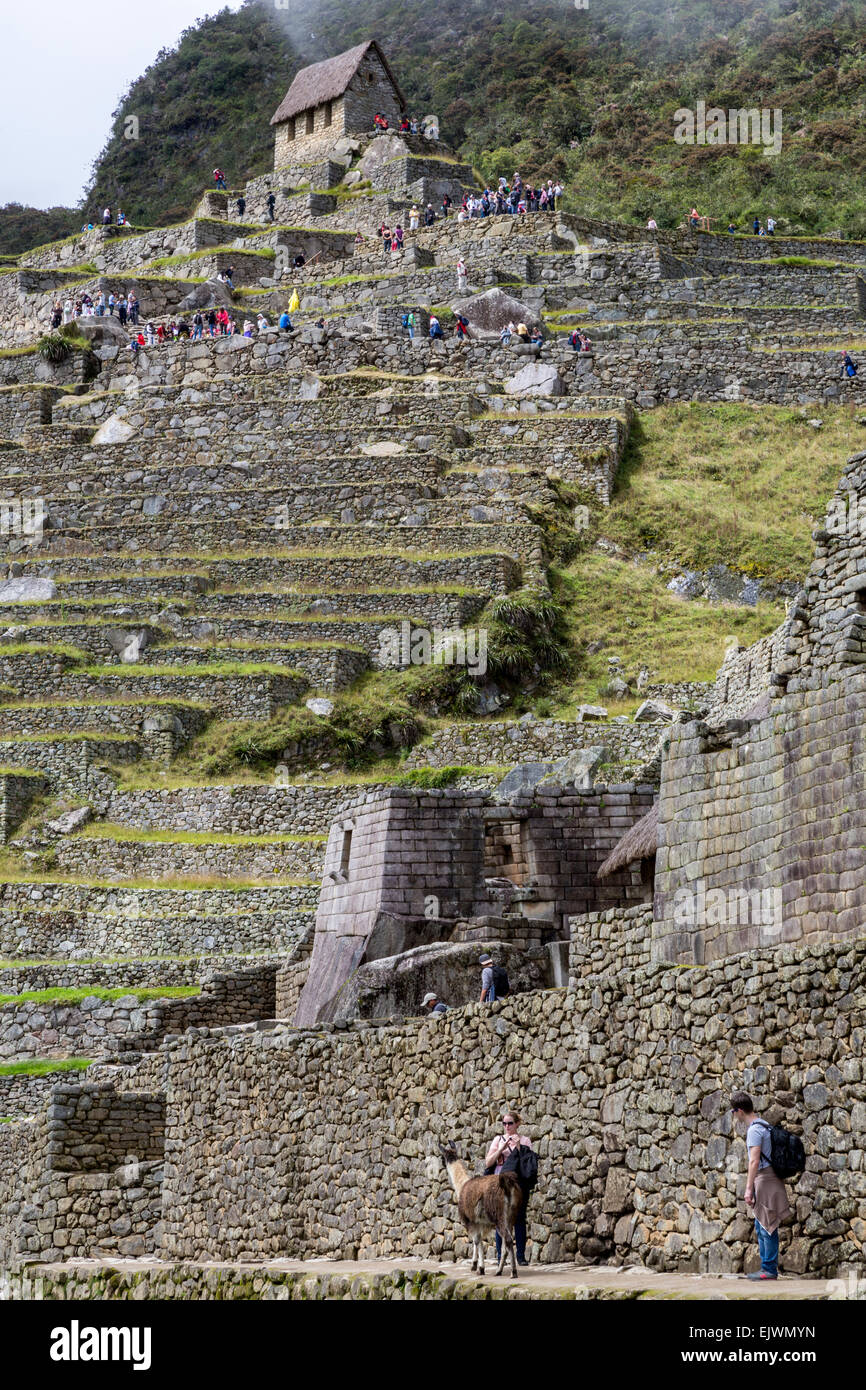 Machu picchu tourists hi-res stock photography and images - Alamy