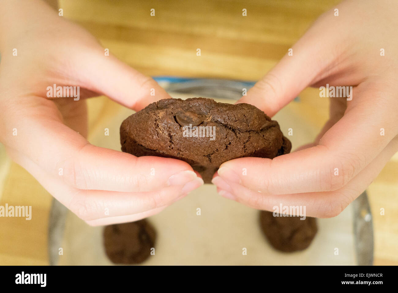 hand holding chocolate cookie home made Stock Photo