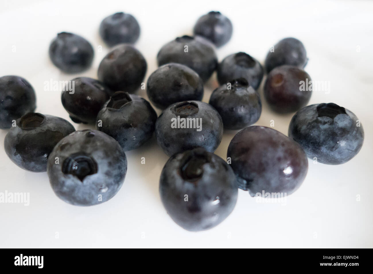 blueberry closeup blueberries Stock Photo