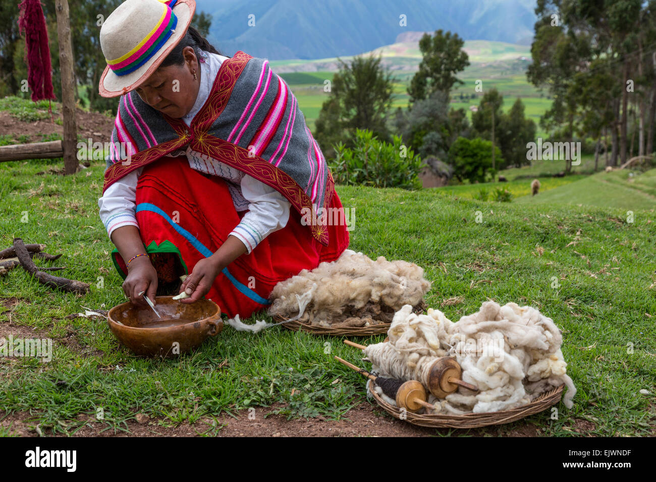 Peru, Urubamba Valley, Quechua Village, Misminay.  Woman Scraping a Root to Create a Natural Organic Detergent for Washing Wool. Stock Photo