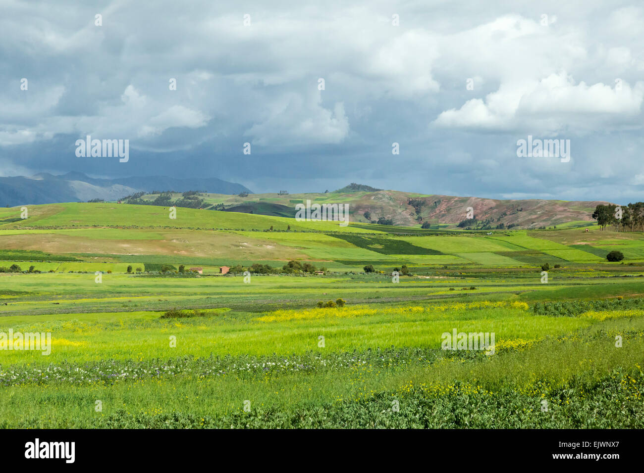 Peru, Moray, Urubamba Valley Farmland. Stock Photo