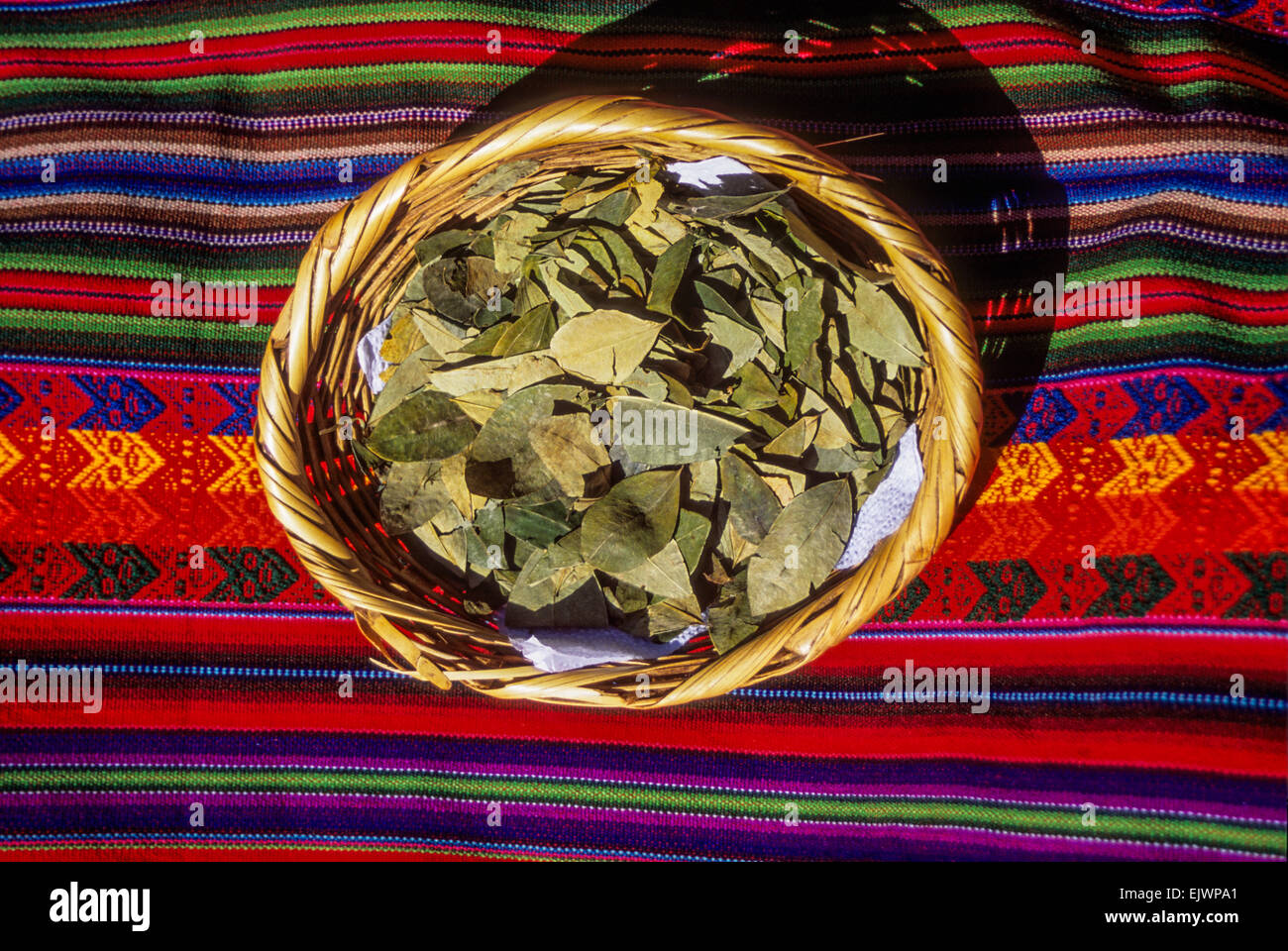 Peru, Cusco. Coca Leaves sitting on Quechua fabric. Tea from coca helps