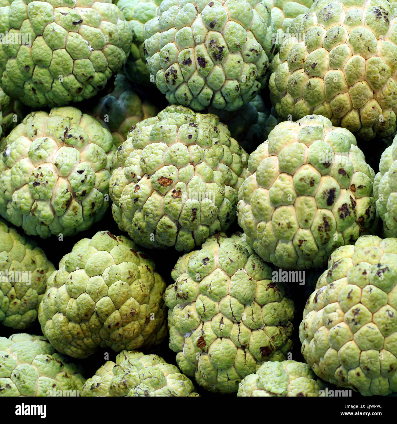 Many Sugar apples at fruit market Stock Photo Alamy