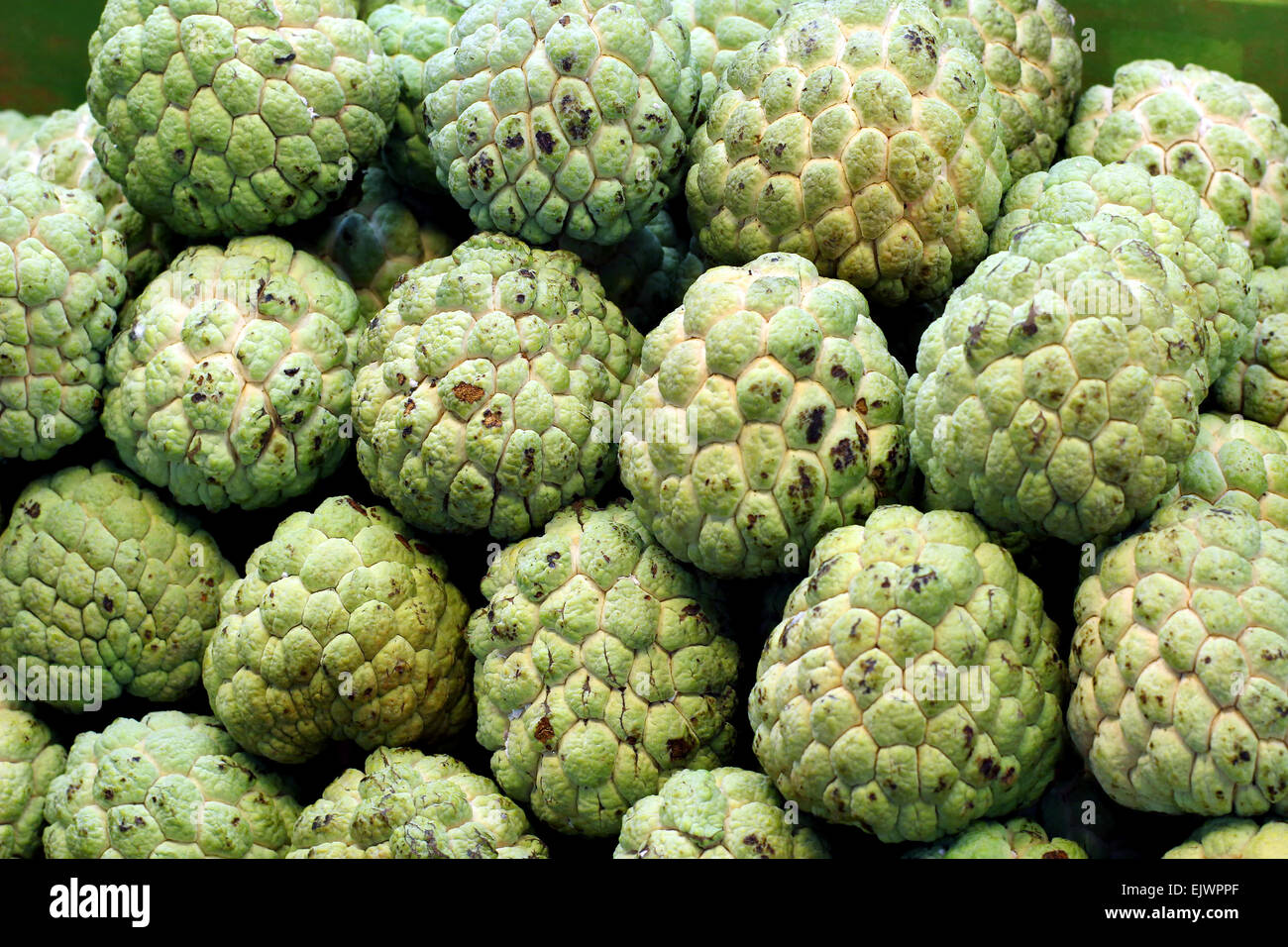 Many Sugar apples at fruit market Stock Photo Alamy