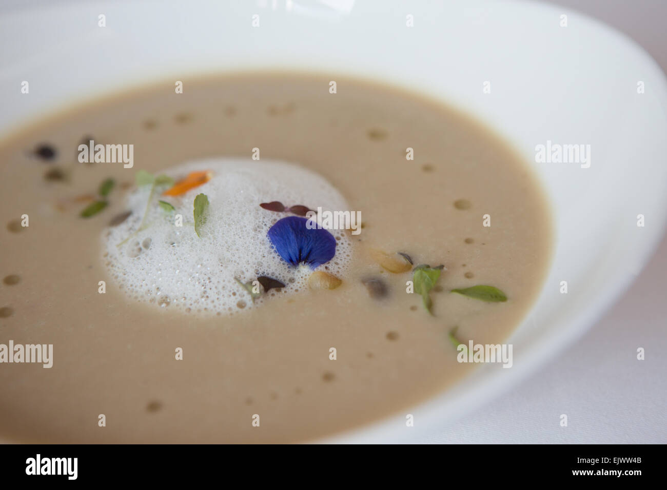 Caramelized cauliflower soup, with horseradish foam & wild flower