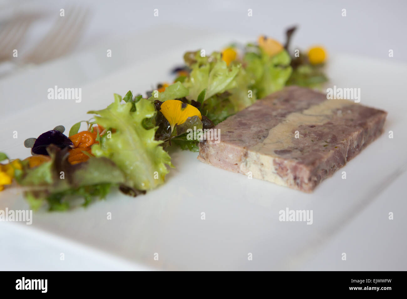 Smoked ham hock and foie gras terrine with home made piccalilli and salad garnish served on a white plate. Stock Photo