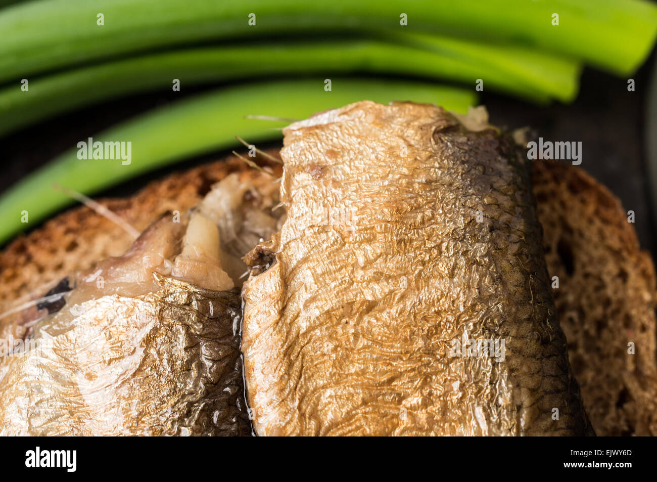 Smoked sardines on toast closeup. Green onion on background Stock Photo