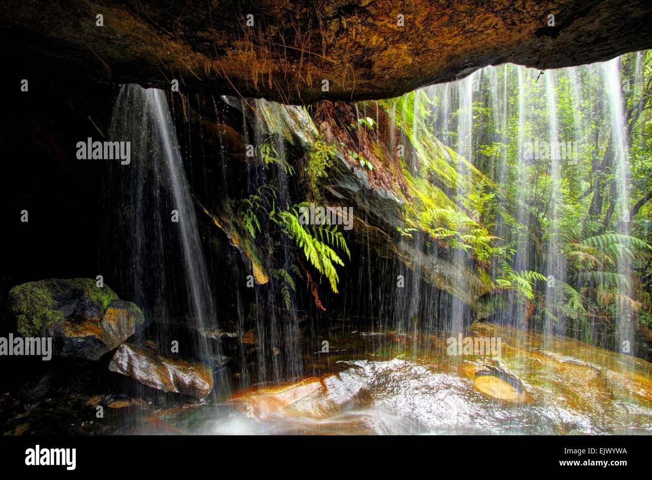 One of myriad waterfalls in Horseshoe Falls Reserve Hazelbrook, the Blue Mountains, NSW Stock