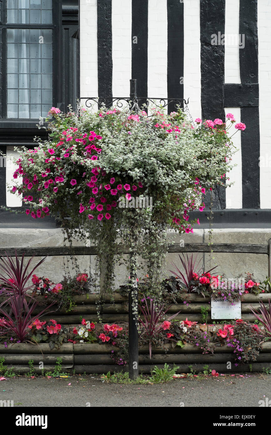 House and walls of Ledbury Park Stock Photo Alamy