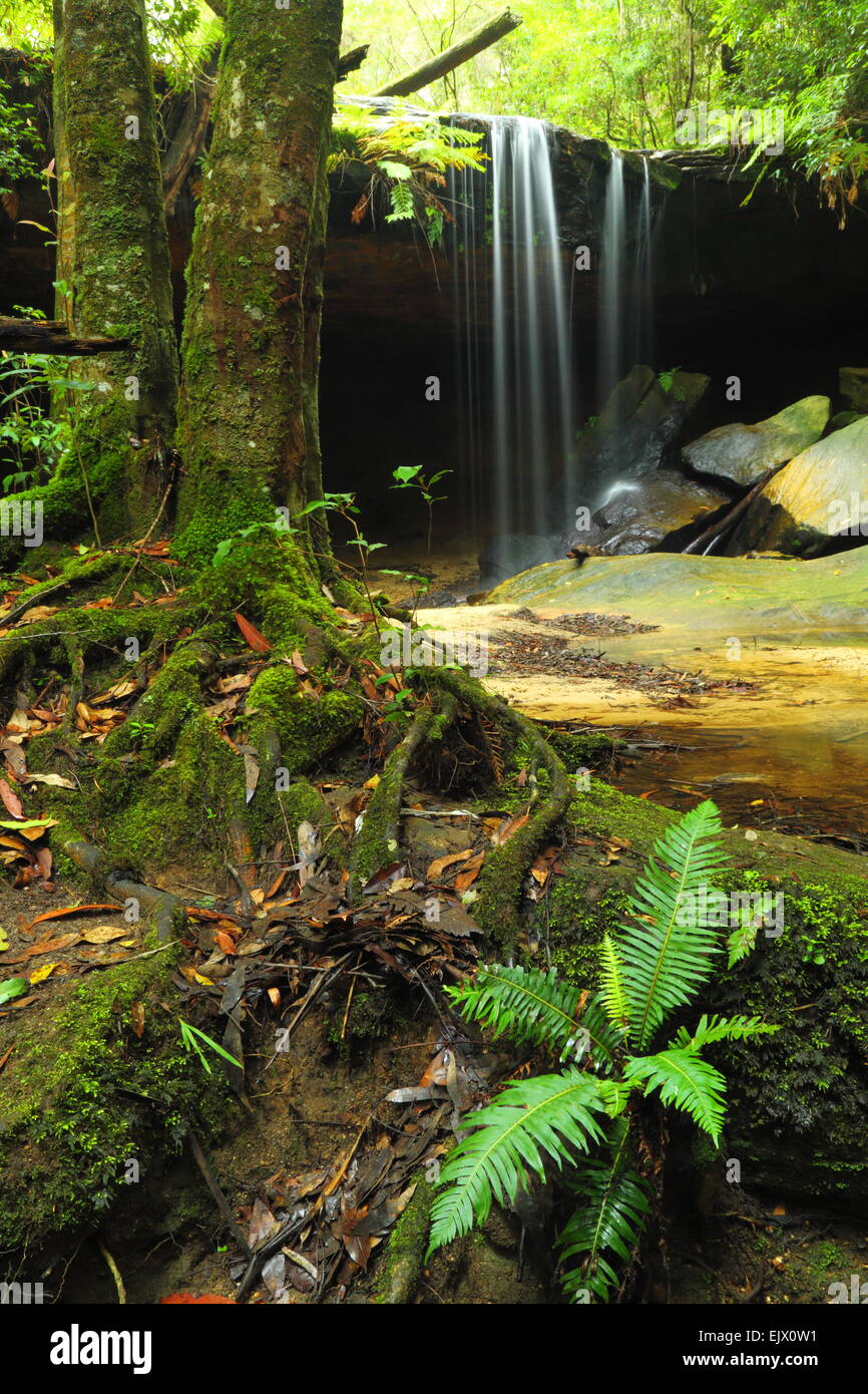 Oaklands Falls, one of myriad waterfalls in Horseshoe Falls Reserve