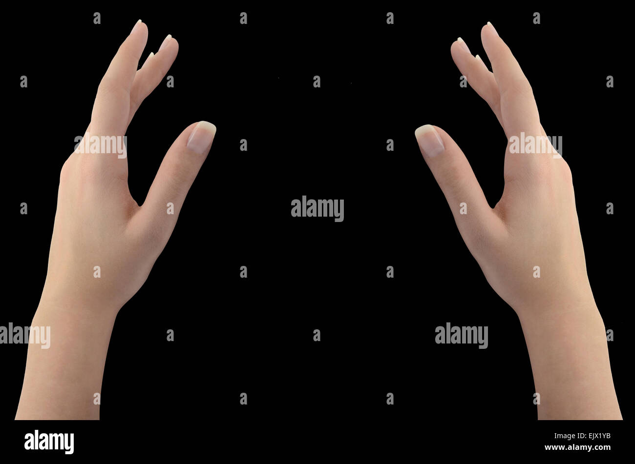 Woman's hands isolated on black Stock Photo