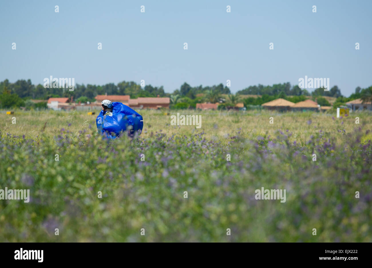 Skydiver jumper on ground carrying his unpacked blue parachute through medows Stock Photo