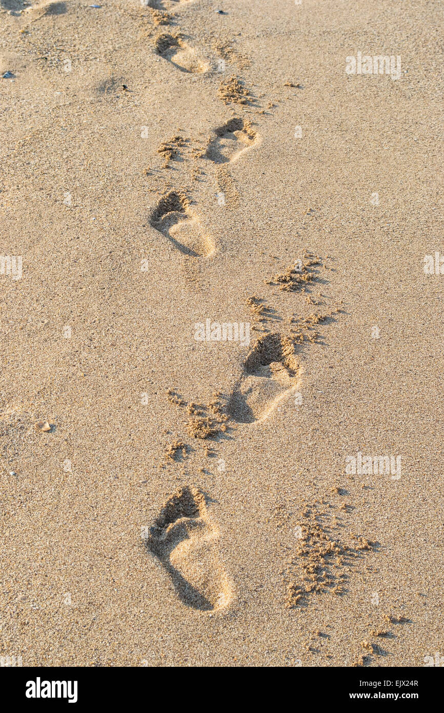 Man's footprints in sand while walking on the beach Stock Photo - Alamy