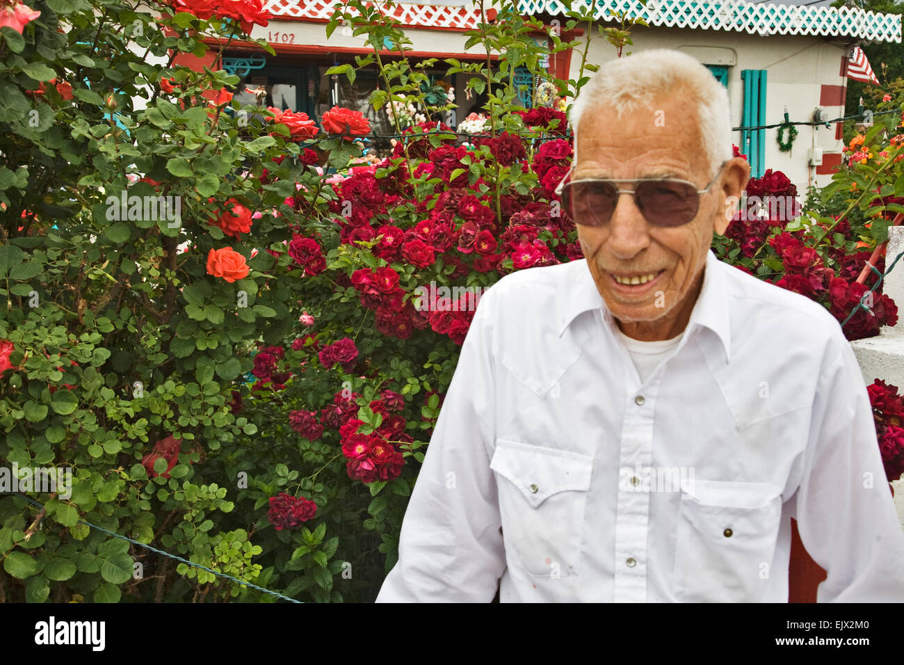 C. L. 'Tunnie' Sharpe in front of his wife Helen's roses at their garden in Santa Fe. Stock Photo