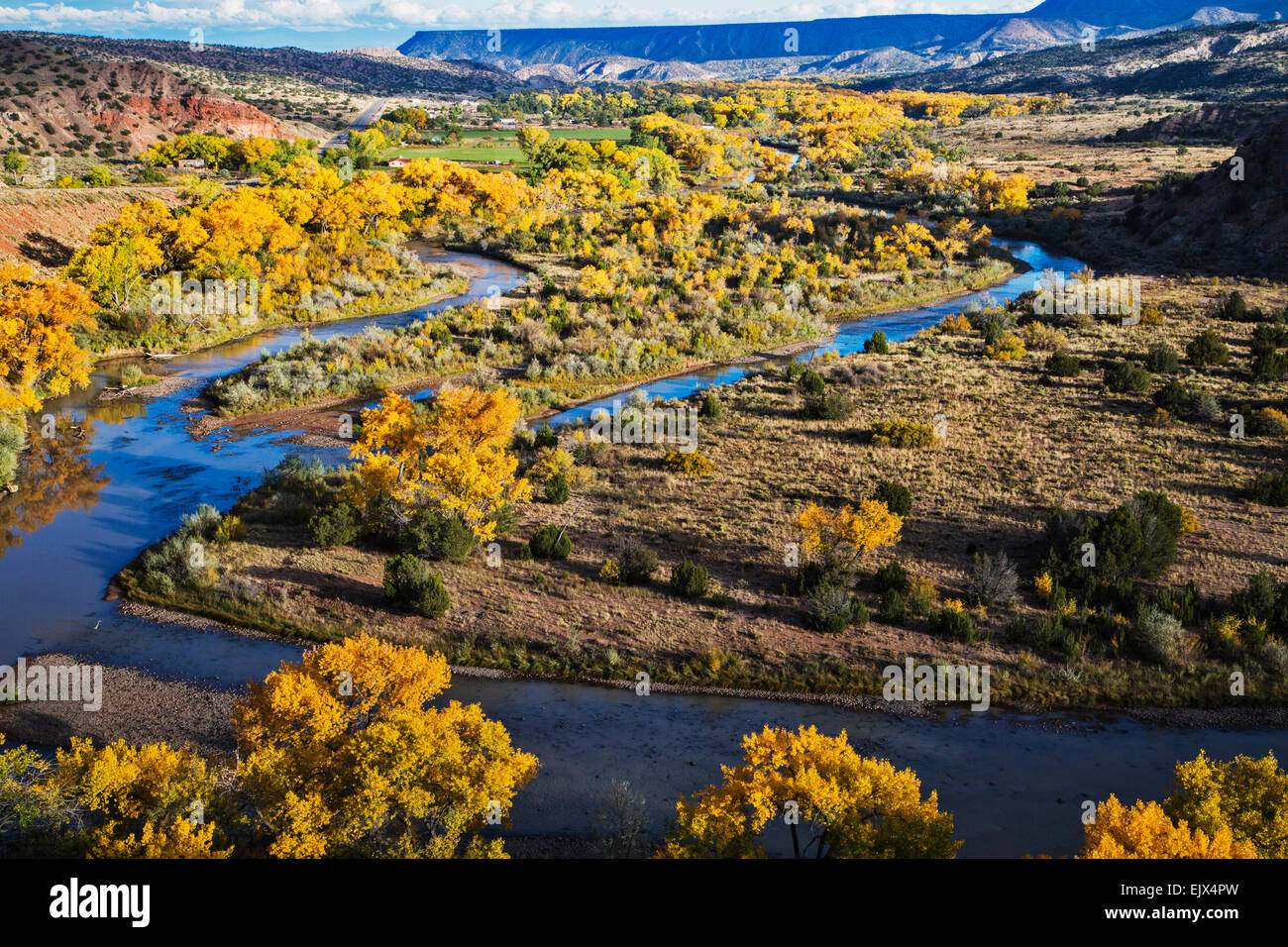 In October the cottonwood trees along the Chama River near the village of Abiquiu in  northern New Mexico. Stock Photo