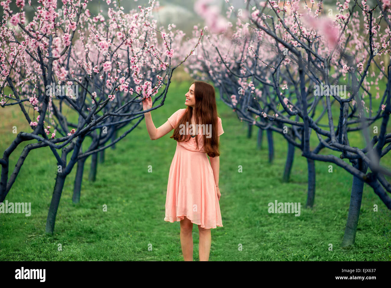Woman enjoying spring in the green field with blooming trees Stock Photo