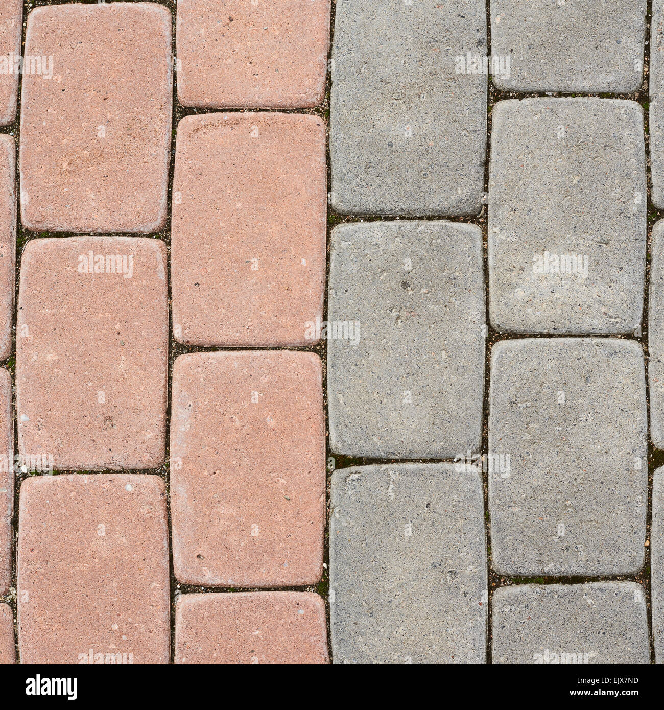 Tiled with paving stone bricks path Stock Photo - Alamy