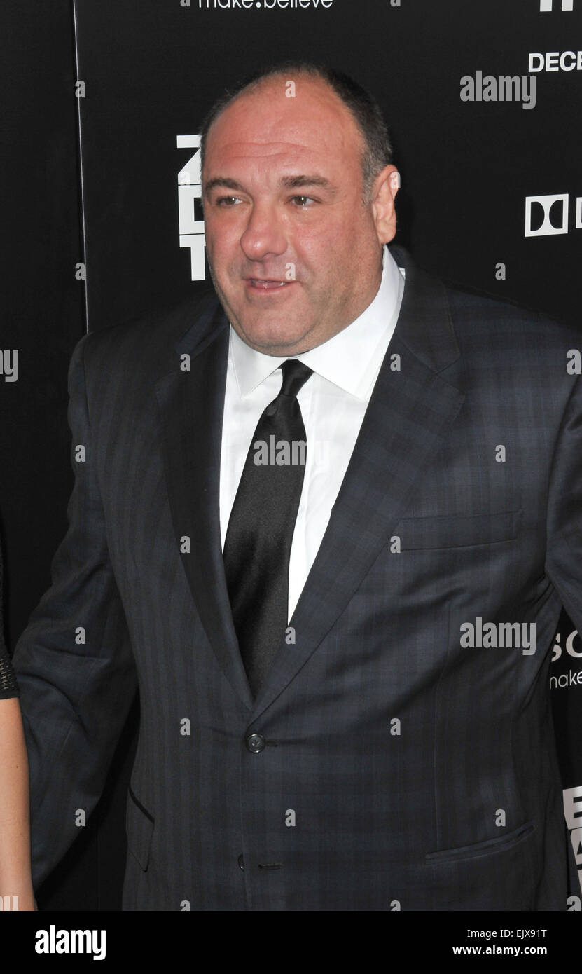 LOS ANGELES, CA DECEMBER 10, 2012 James Gandolfini at the premiere