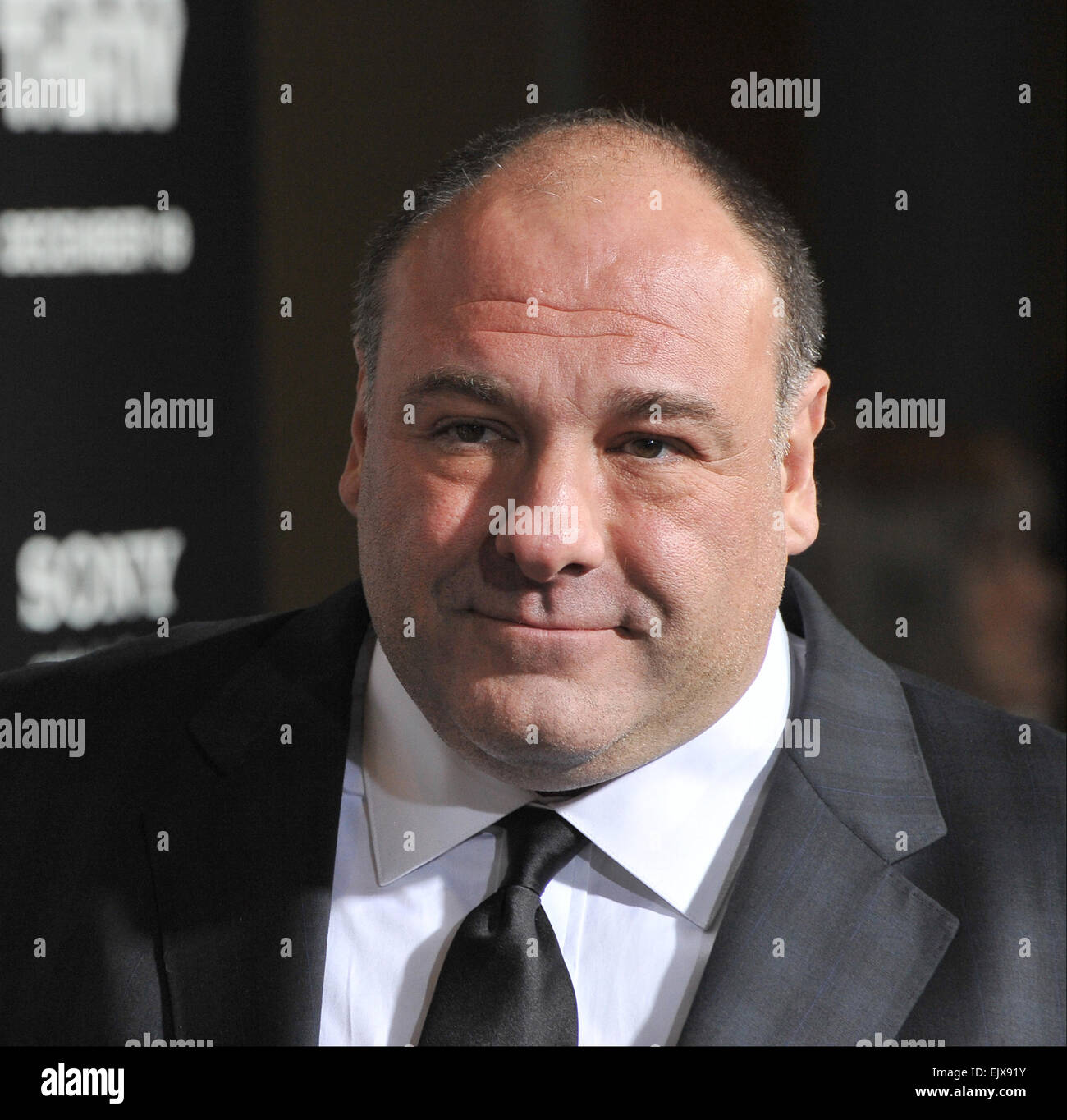 LOS ANGELES, CA - DECEMBER 10, 2012: James Gandolfini & wife at the premiere of his movie 'Zero Dark Thirty' at the Dolby Theatre, Hollywood. Stock Photo