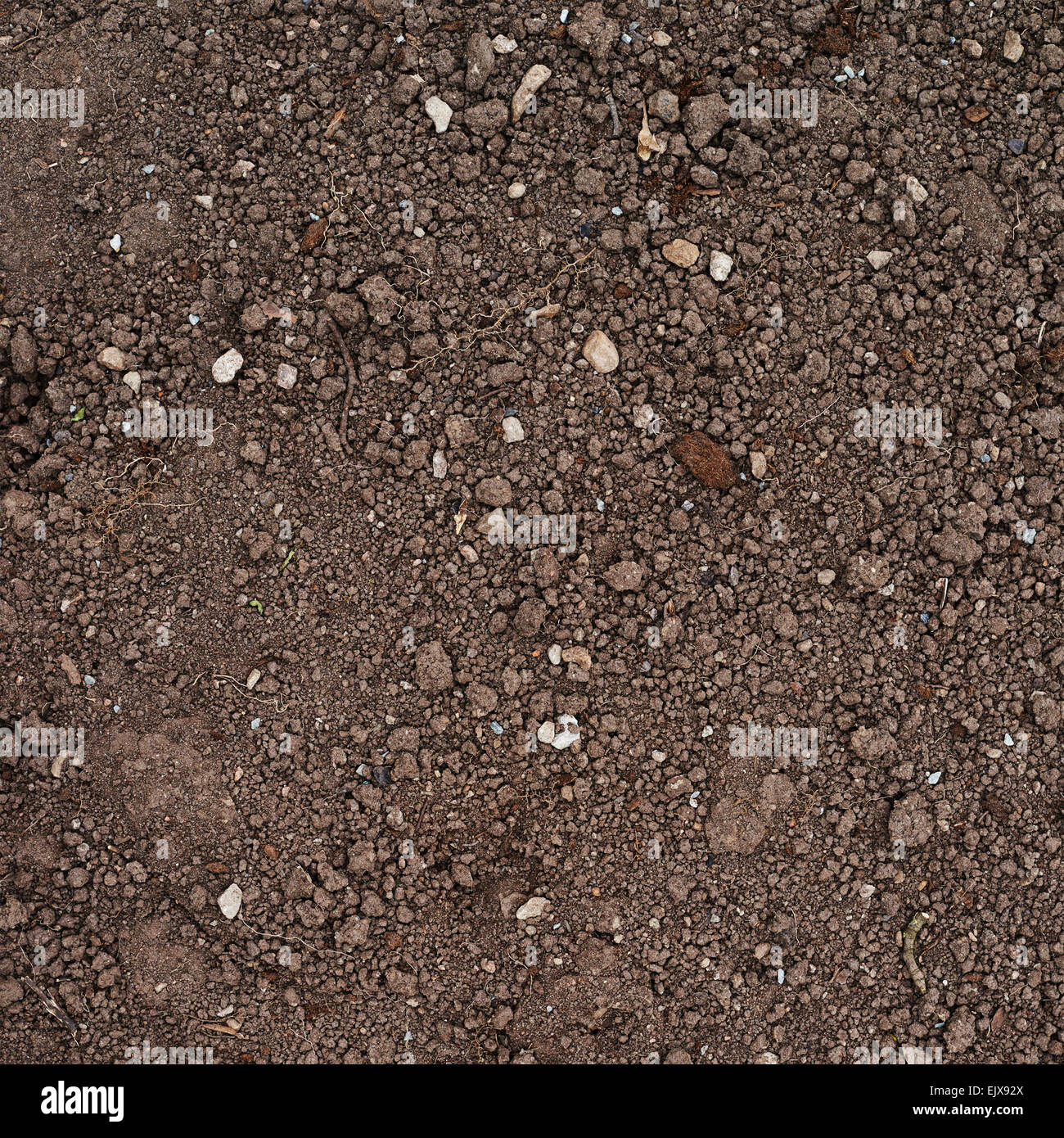 Brown earth fragment Stock Photo - Alamy