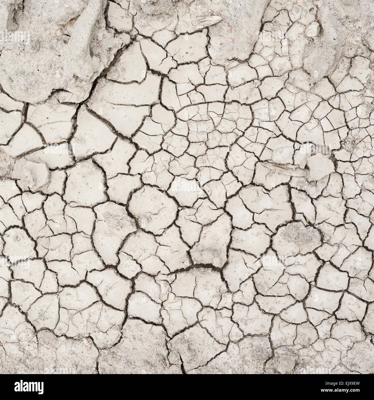 Dried and cracked mud soil fragment Stock Photo - Alamy
