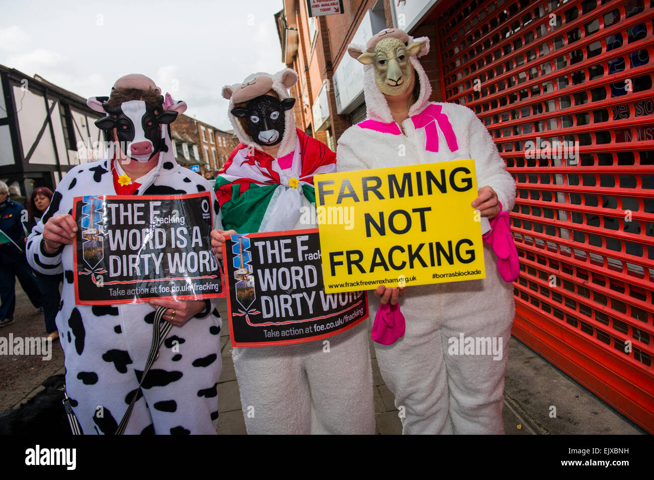 Cows Protest Protest cow hi-res stock photography and images - Alamy