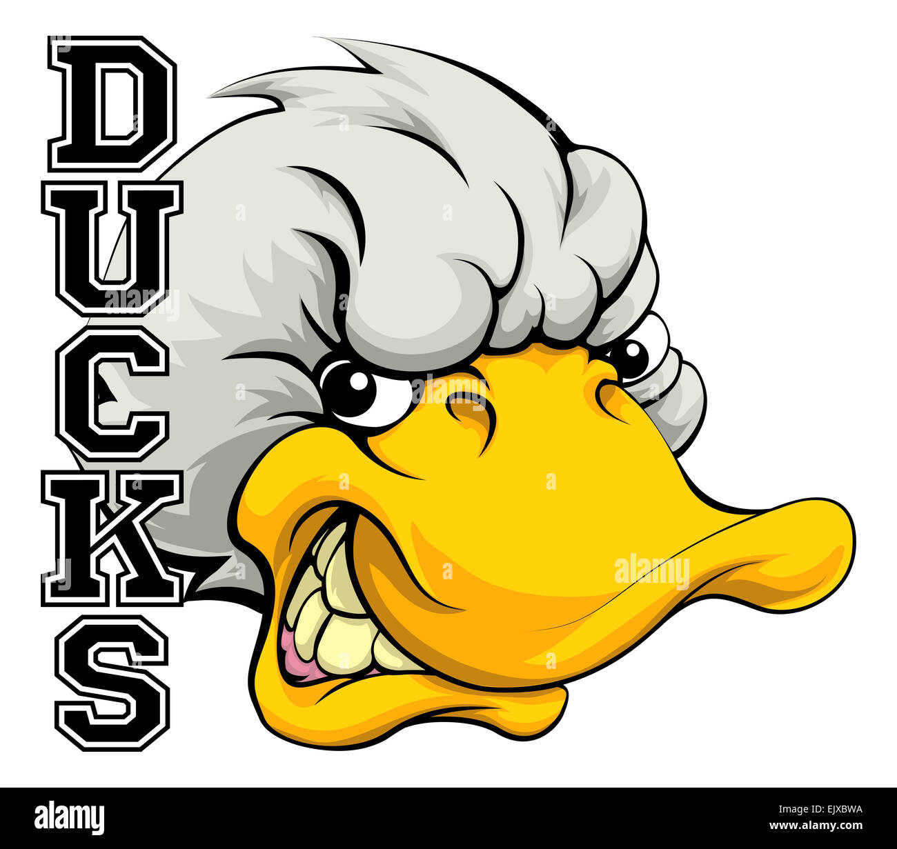 An illustration of a cartoon duck sports team mascot with the text Ducks Stock Photo