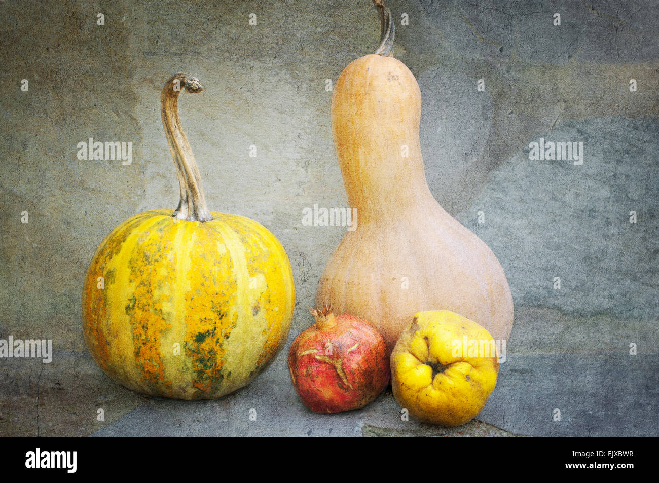 Textured still life with pumpkins, pomegranate and quince Stock Photo