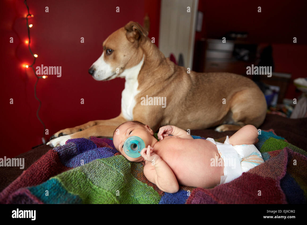 Baby Dummy Light High Resolution Stock Photography and Images Alamy