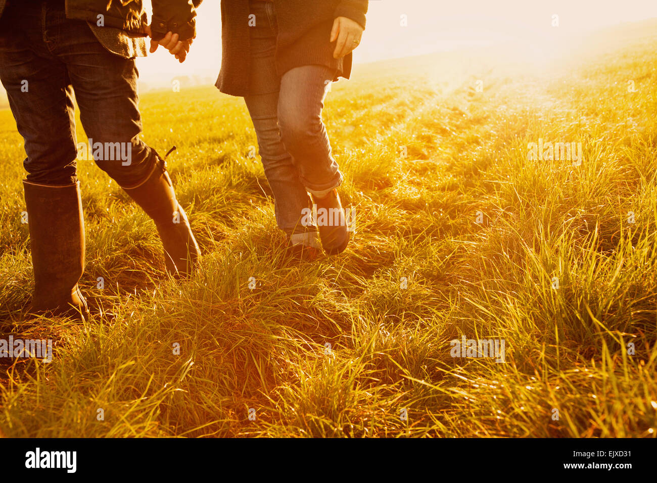 Couple Walking in a Field Holding Hands, Low Section Stock Photo