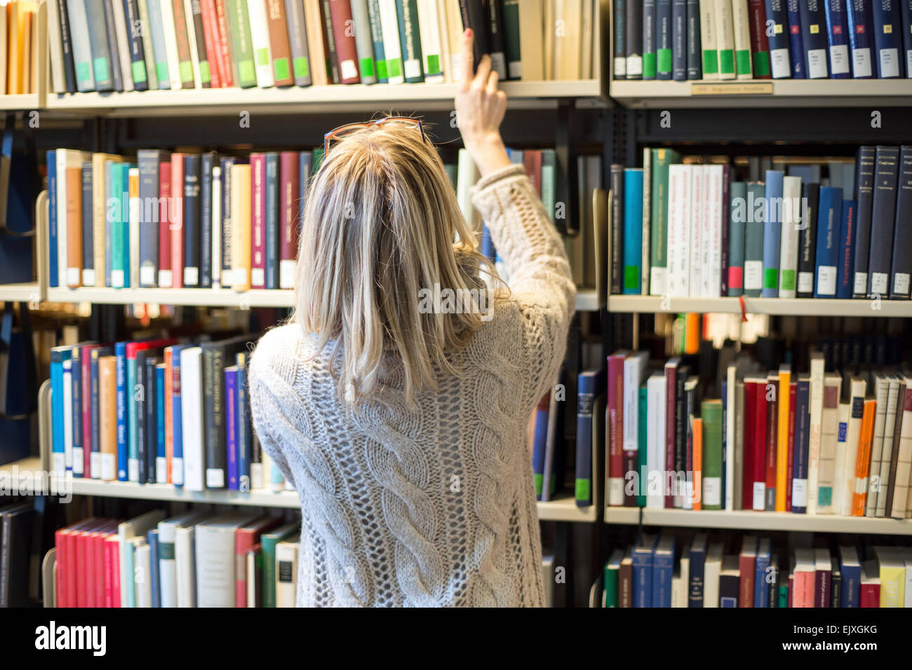 Woman's back - Stock Image - P700/0375 - Science Photo Library