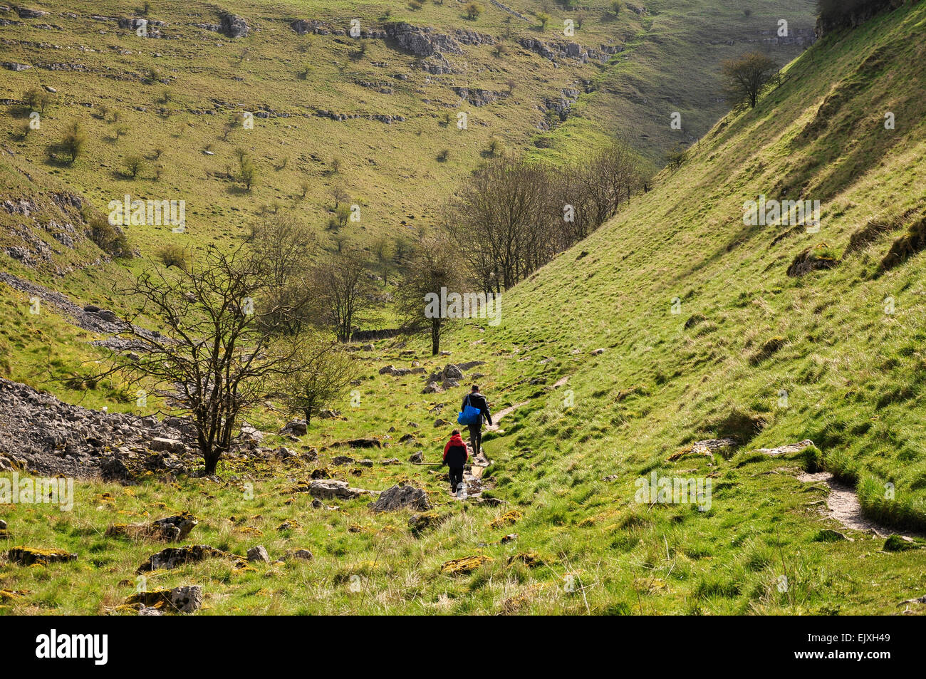 A father and son walking in Lathkill Dale near Monyash in the Peak District, Derbyshire. Stock Photo
