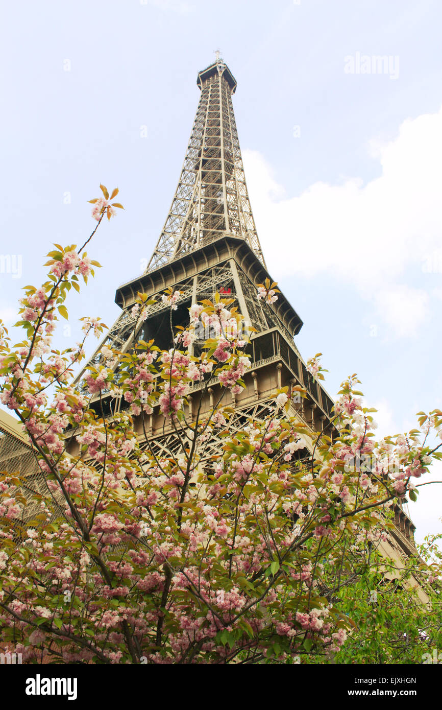 Eiffel Tower in Paris, France Stock Photo