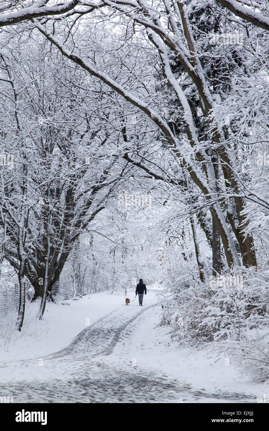 Winter along one of the many pathways in Prospect Park, Brooklyn, NY